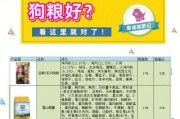泰迪成犬的最佳食粮选择（探究以泰迪成犬吃什么狗粮为主题的关键因素和食品推荐）