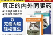 怀孕猫咪（了解怀孕猫咪是否适合使用驱虫药来解决跳蚤问题）
