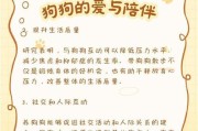 人类喜欢狗狗的原因（探寻与狗狗相伴之乐）