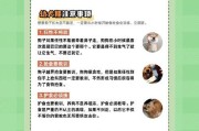 成年狗配对间隔期的时间（了解成年狗配对频率的重要性）