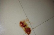 宠物狗狗的排便周期及注意事项（探究3个月大狗狗的排便规律与喂养要点）