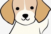 狗狗必学的训练秘籍，手把手教你 “驯服” 毛孩子～