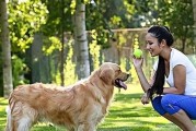 女孩子养大型犬的好处和选择（一只让女孩子从容成长的伴侣犬）