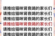 探究猫咪肾衰的原因（为什么猫咪容易患上肾衰？）
