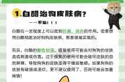 狗得了皮肤病怎么办（饮食调理对于狗的皮肤病是关键）
