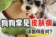 如何辨别宠物狗的生病症状（生病的狗狗会出现哪些症状？关注这些信号及时发现）