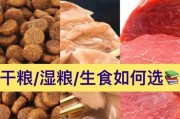 狗狗的饮食选择（以宠物为主，了解狗狗的饮食需要与注意事项）