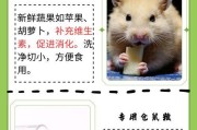 母仓鼠为什么会吃小仓鼠？（探究母仓鼠食用小仓鼠行为的原因与影响）