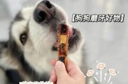 狗狗零食喂养的正确姿势（不可过多的零食喂养对狗狗健康的影响与正确喂养方法）
