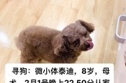 泰迪狗剪毛后多久才能长出来？（剪毛周期、毛发生长速度、护理技巧分析）