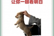 通过狗的姿势了解其情绪状态（解读狗的姿势语言与行为）