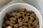 狗狗不吃东西怎么办？（幼犬的食量与健康有关）