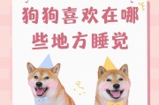 为什么狗喜欢在门口睡觉？（探究狗儿为何对门口如此倾心）