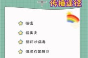 猫瘟治愈后的注意事项（宠物猫康复必读，做好以下准备）