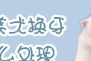 博美流血紧急处理方案（一起来保护我们的宠物吧！）