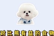 一到三个月的狗吃什么东西？（了解小狗饮食需求，给予健康成长）