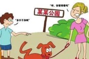 让宠物狗狗文明用餐的秘诀（从饮食起居到行为训练，打造文明餐桌）