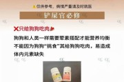 狗口服维生素B（掌握合适的补充频率，给狗狗维持最佳状态）