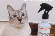 如何正确为宠物猫咪洗澡（注意事项和步骤详解，让爱宠干净舒适）