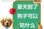 如何为小狗崽提供健康的饮食（探索小狗崽的饮食需求与喂养方法）