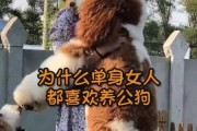 女人养大狗（探索女人养大狗的动机与成就感）