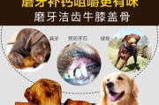 过年给狗狗吃骨头要注意的事项（宠物健康需谨慎，过年骨头不可任意送）