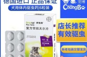 正确使用狗吃肠虫清的注意事项（保护宠物健康的关键是正确使用肠虫清剂）
