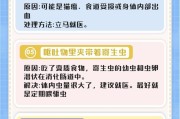 揭秘猫咪吃什么吐什么的原因（解析猫咪呕吐的种种情况及其解决方法）
