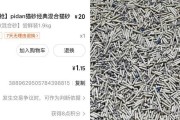 让猫咪无需猫砂的两种方法（省心又环保，告别猫砂的秘籍）