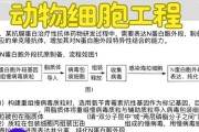 增加抗体的神奇食物（通过饮食提高免疫力，抵御疾病入侵）