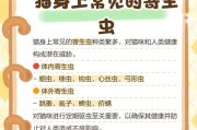 揭秘猫身上的常见体外寄生虫（了解猫身上的寄生虫种类，保护宠物健康）
