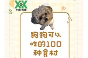 狗狗病后的营养补充秘诀（了解狗狗病后所需营养，让它们恢复健康）