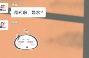 如何准确地为狗狗计算药量？（掌握科学的计算方法，保证宠物健康）