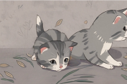 如果没有猫妈妈小猫能活多久？小猫什么时候可以开始照顾自己？