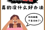 揭秘狗狗腿瘸的原因（探索狗狗腿瘸的背后秘密）