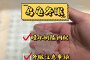 购买乌龟的注意事项（网上买乌龟需要知道的关键信息）