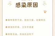 猫藓的治疗方法和预防措施（了解猫藓的病因和症状，有效治疗猫藓的关键）