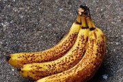 如何检视宠物斑点的健康状况（宠物斑点健康状况的检查和注意事项）