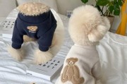 博美幼犬冬季保暖攻略（宠物狗冬季保健知识，让你的博美幼犬安全过冬）