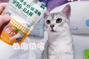 猫的采食量与健康（以猫一个月吃多少斤猫粮为例）
