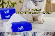 选择猫咪肉垫时哪个牌子好？（探寻猫咪肉垫市场上的优秀品牌）