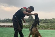 让你的宠物爱上坐车的实用方法（以狗狗害怕坐车的训练方法为例，让你的宠物感受旅行的乐趣）