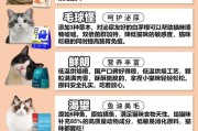 如何正确喂养一个月大的小猫（疾病预防工作指南）