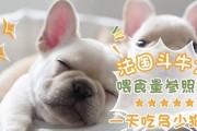 以斗牛什么都吃，我们应该如何应对？（探索人类在不同情境下的饮食选择与变化）