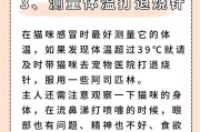 猫咪体温39度，如何判断正常？（猫咪体温异常状况下的应对方法）