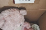 如何选择适合狗产房的垫子（垫子选择要点及优质垫子推荐）