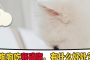 狗肚子吃了的好处（了解狗肚子的营养及好处）