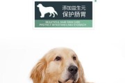 金毛幼犬肠胃感冒的治疗方法（药物治疗及注意事项）