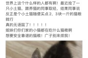 猫咪饮食宝典（探索猫咪的健康饮食秘籍）