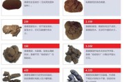猫咪的排便情况如何判断健康？（通过观察猫咪的排便情况来了解其健康状况）